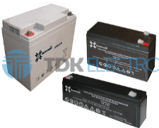 Аккумулятор СГАН 12-65