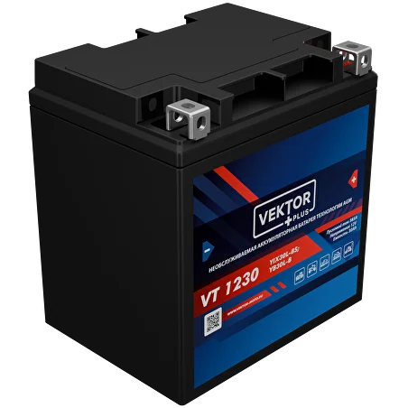 Аккумулятор Vector Plus VT 1230