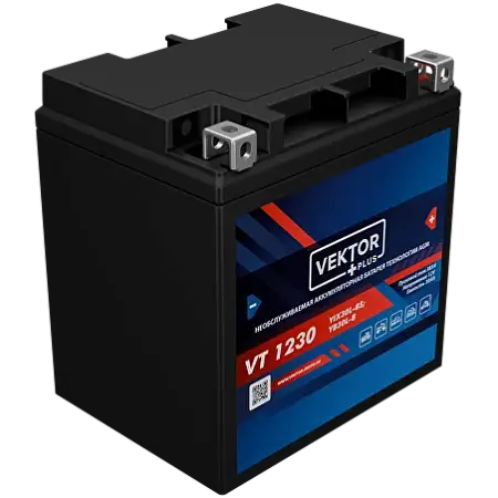 Аккумулятор Vector Plus VT 1230