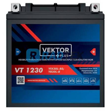 Аккумулятор VEKTOR VT 1230